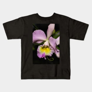 Cattleya Orchid in Pink & Mauve Kids T-Shirt